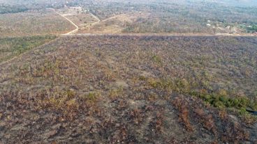Una vista de uno de los sectores afectados por los incendios.