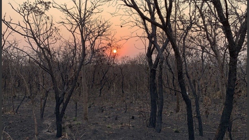 Un área afectada por un incendio en el estado de Mato Grosso.