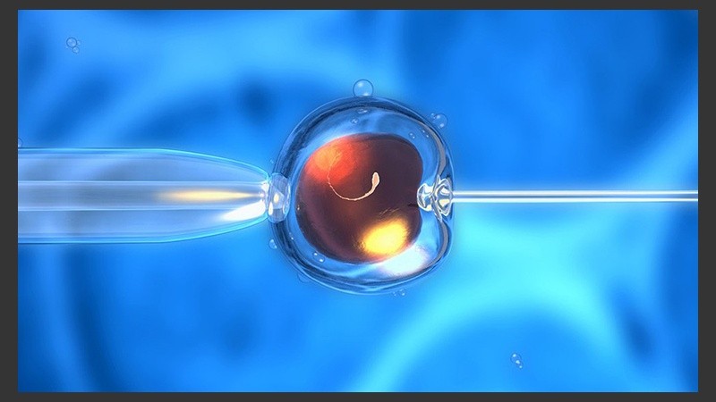 A esta técnica se recurre cuando el proceso natural de embarazo está impedido por alguna razón.