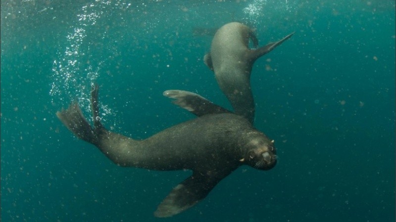 Captura del documental 