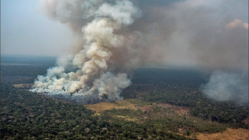 Una imagen del avance del fuego en la Alta Floresta del pulmón verde.