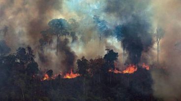 "Ya estuvimos en Chile durante 15 días por incendios forestales", dijo Roberto Sánchez, uno de los brigadistas santafesinos.
