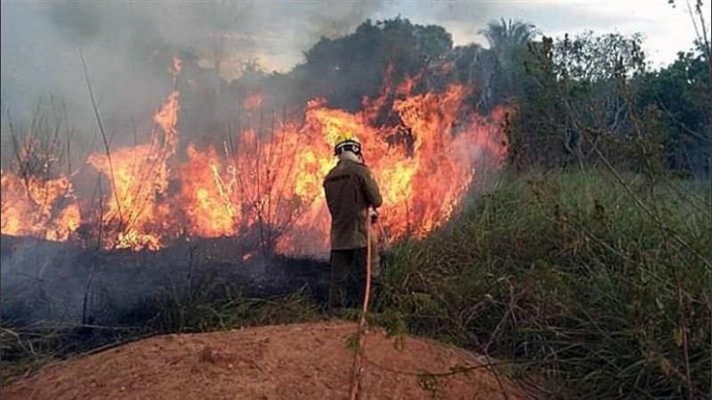 Los incendios en la Amazonia, una preocupación mundial.