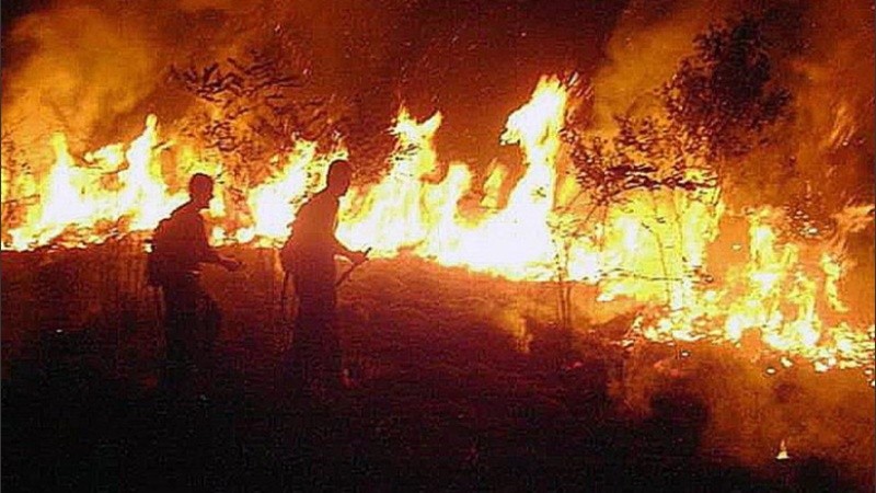 Unos 200 brigadistas argentinos fueron convocados por los incendios.