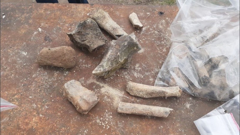 Los huesos encontrados en la zona del Saladillo.