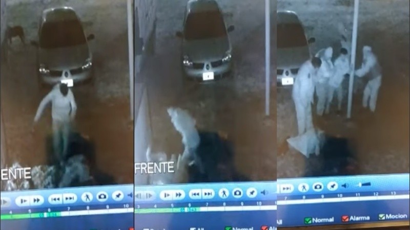 El hombre descargó una furiosa paliza contra la mujer. 