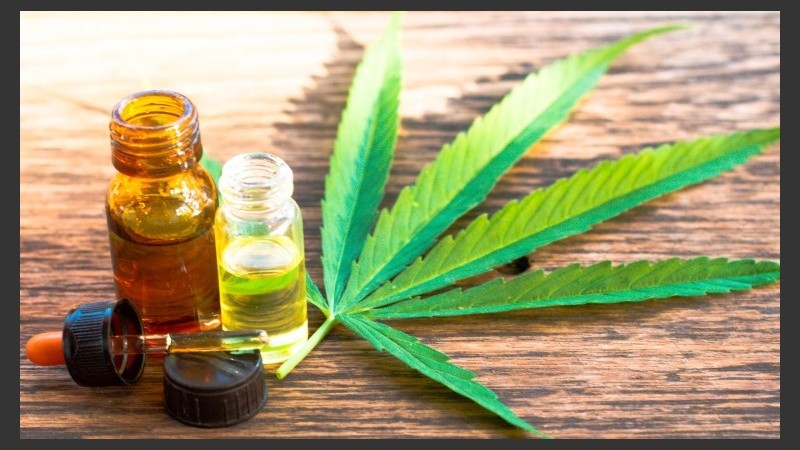 Santa Fe avanza en un convenio con el INTA para utilizar alguno de los predios que cumplen con los requisitos incluidos en la ley.