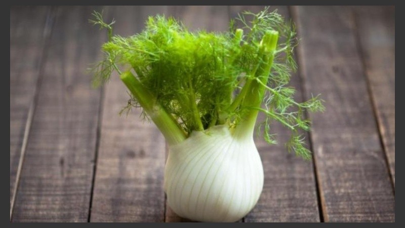 Simboliza la fuerza.