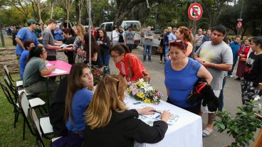 Día del árbol: una jornada para concientizar contra la deforestación.