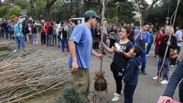 Fresnos, tilos, liquidambares y pezuñas de vaca para plantar.