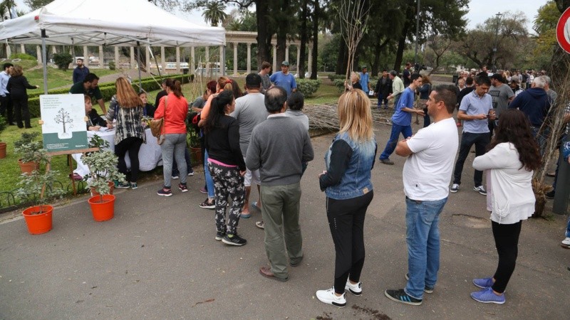 La cola para conseguir un árbol ocupó unos 100 metros. 