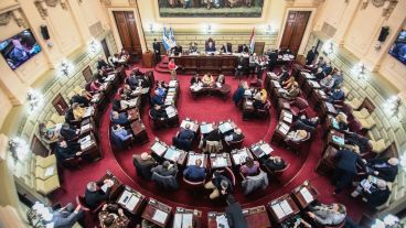 El tema se debatirá en la Legislatura.