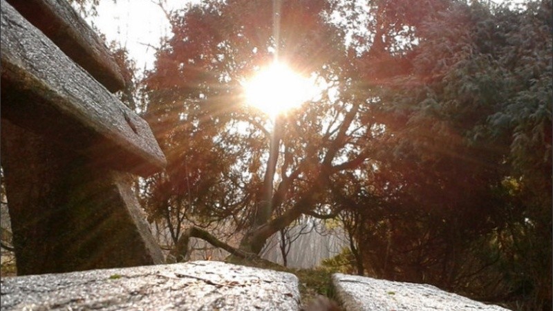 A esperar un sol que saque el frío. 