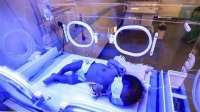 Eliska está al cuidado de su tía, que la está amamantando y de su papá.