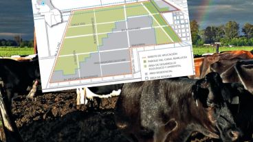 Los años pasan y no se afianza una solución política al conflicto de Nuevo Alberdi.