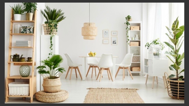 Las opciones son infinitas.