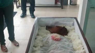 Familiares y amigos de los dueños se acercaron para el último adiós.