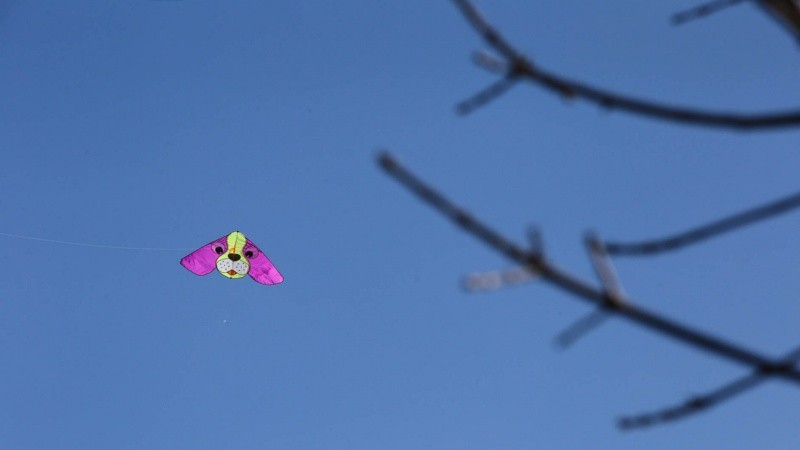 El Festival Internacional de Barriletes arrancó con buen tiempo y mucha gente en su primer día en el parque Scalabrini Ortiz.