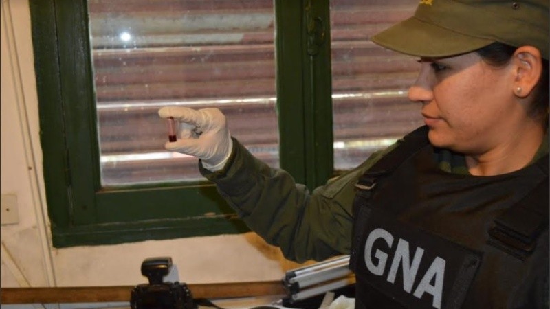 Las cajas transportaban droga y cigarrillos importados.