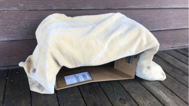 Lois Augsburger encontró al pequeño Noelvin en la puerta de su casa.