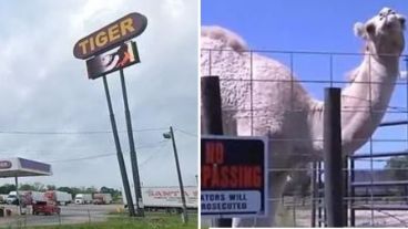 La policía informó que no dará lugar a una denuncia contra el camello.