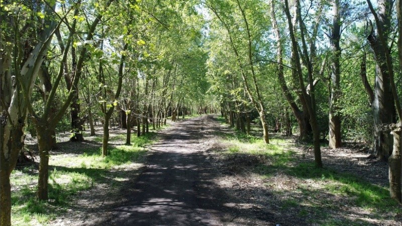 Senderos para explorar en el Parque Villarino de Zavalla. 
