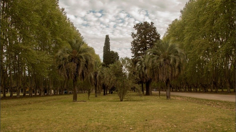 El Parque se mantiene con el césped corto en sus áreas centrales. 