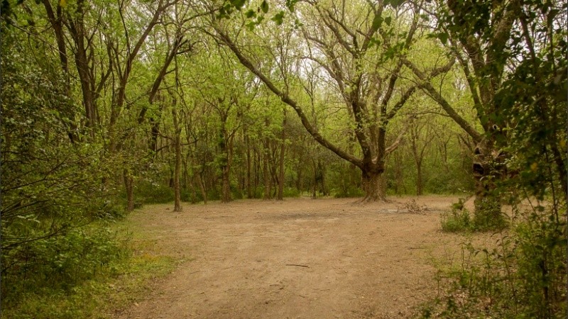 Un sector ideal para acampar en el corazón del Parque. 