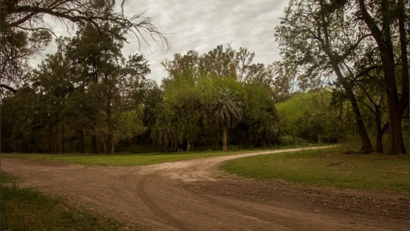El Parque Villarino combina caminos despejados con senderos boscosos. 