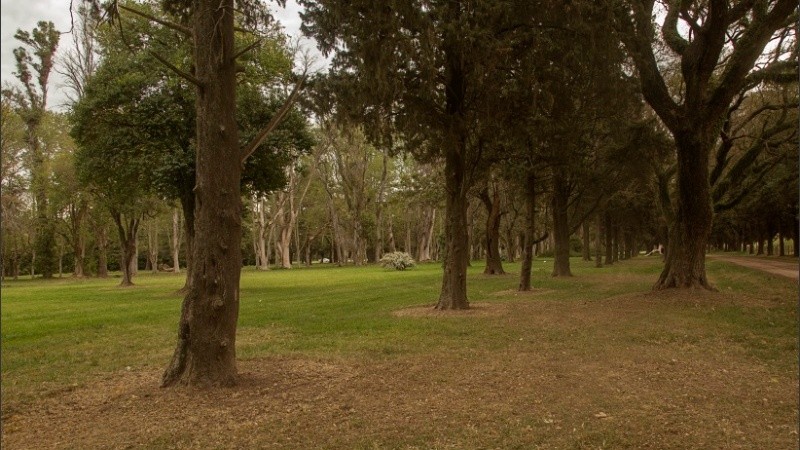 Son más de 160 las especies de árboles del Parque Villarino. 