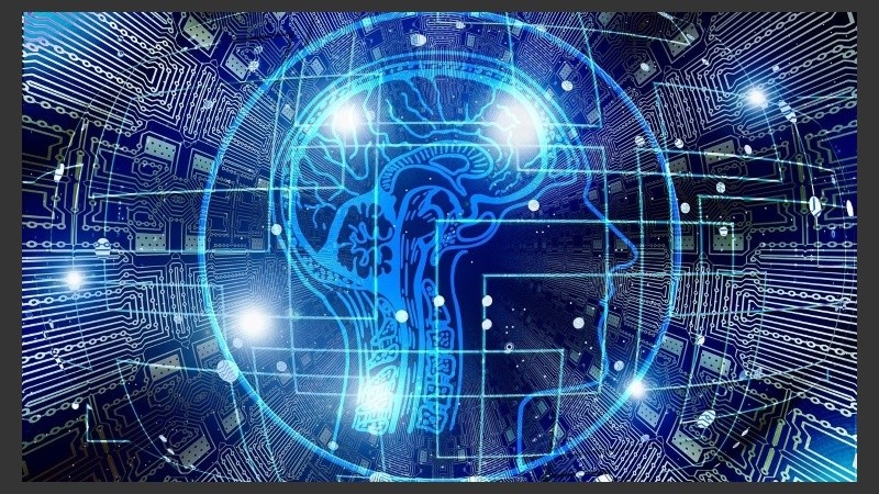 ¡Estudiá la mente!