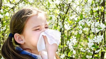 Han aumentado los factores ambientales que generan alergias.