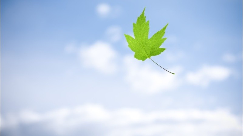 Las hojas son del viento en este miércoles de primavera. 