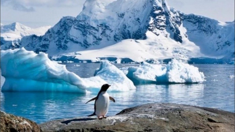 A través de la recolección de muestras de nieve, el equipo medirá la penetración de los microplásticos en la Antártida.