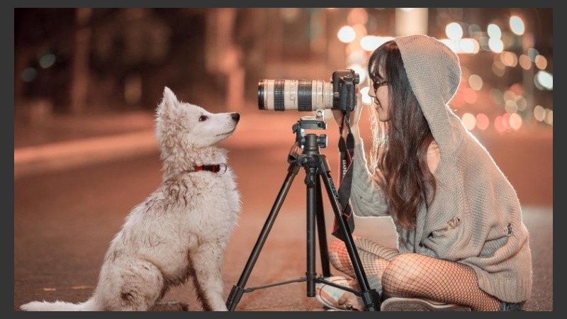 Si tu perro se hace famoso no dudés en abrir otras redes sociales para que sea el más conocido de todos.