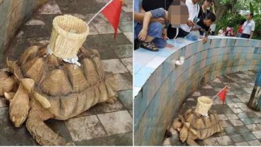 La administración del lugar está siendo investigada el hecho.