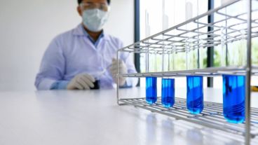 Advierten que demandará varios meses descubrir cómo se transmite la enfermedad y desarrollar una cura.