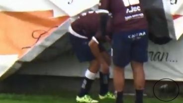 Los jugadores tratando de descubrir el lugar donde se hallaban los nidos.