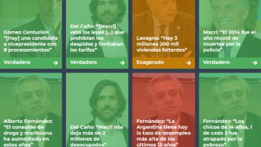 Los resultados de las verificaciones efectuadas por Chequeado.