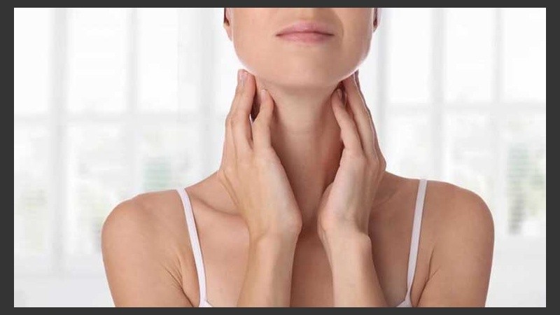 La precisión general del algoritmo fue del 77,4%.