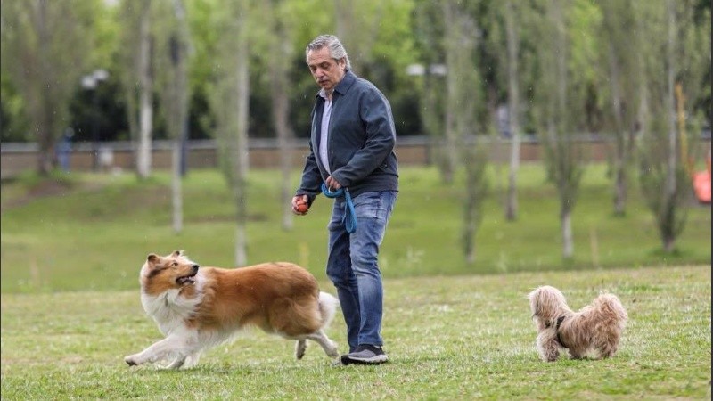 Alberto Fernández sacó a pasear a su perro este domingo temprano. 