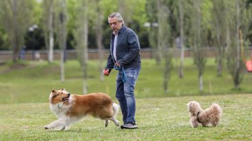Alberto Fernández sacó a pasear a su perro este domingo temprano.