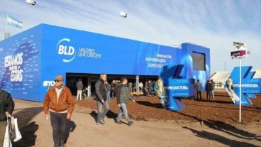 Lluvia de denuncias contra BDL.