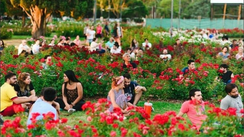El Rosedal, un espacio único en la ciudad de Rosario. 