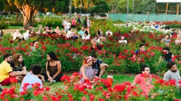 El Rosedal, un espacio único en la ciudad de Rosario.