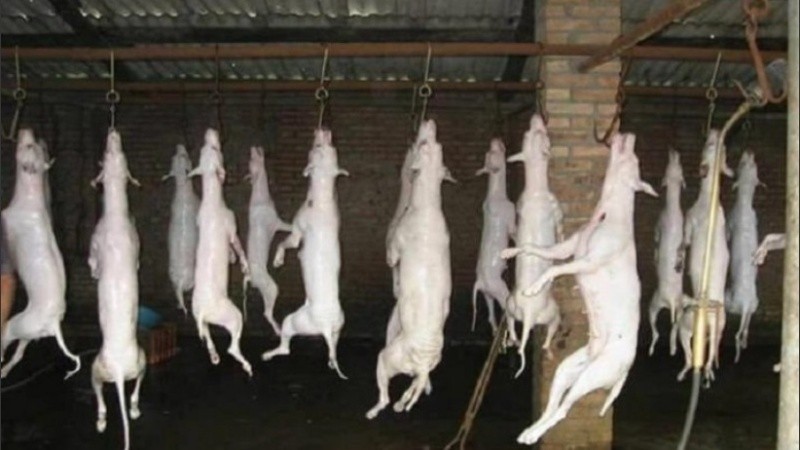 Constataron que se trataría de un caso denunciado en Taiwán.