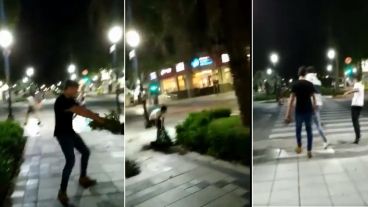 El video de jóvenes arrancando los arbustos del cantero central de bulevar Oroño.