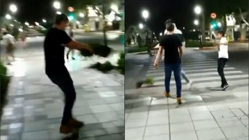 Los jóvenes se filmaron arrancando los arbustos del cantero central de Oroño.