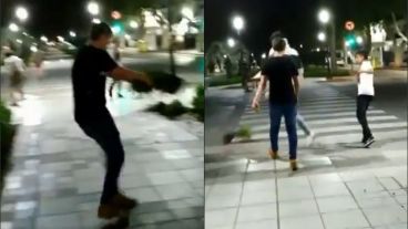 Los jóvenes se filmaron arrancando los arbustos del cantero central de Oroño.