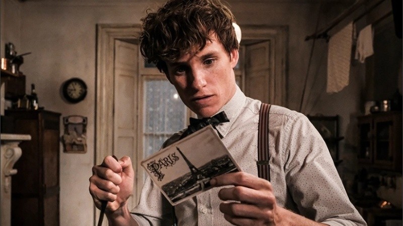 El actor Eddie Redmayne volverá a ponerse en la piel de Newt Scamander.
